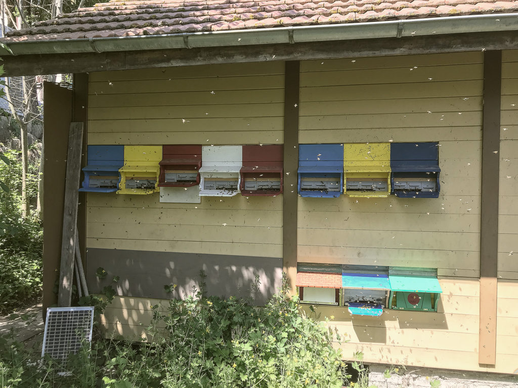 Kehrsatzer Biene, Bienenhaus